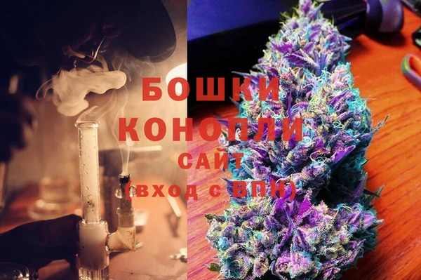 стафф Богданович